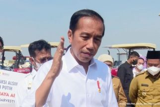 Inilah Agenda Jokowi di Pulau Buton, Gelar Adat Sampai Pengecekan Aspal - JPNN.com Sultra