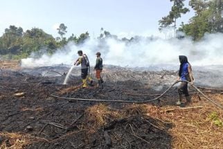 Innalillahi! Hutan di Kecamatan Nyalindung Sukabumi Terbakar - JPNN.com Jabar