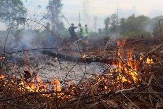 Tim Gabungan TNI dan Polri Berjibaku Tangani Kebakaran Lahan di Simalungun - JPNN.com Sumut
