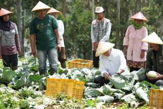 Anies Tawarkan Akses Pupuk Murah dan Kepastian Harga kepada Petani di Pengalengan Bandung - JPNN.com Jabar