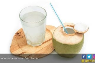 7 Manfaat Air Kelapa Hijau yang Luar Biasa, Bukan Kaleng-kaleng! - JPNN.com Jabar