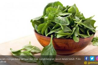Cukup Konsumsi 3 Sayuran Ini, Kehidupan Seksual Anda Dijamin Makin Hot - JPNN.com Bali
