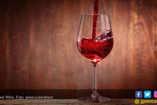Ini 4 Manfaat Minum Red Wine Setiap Malam untuk Tubuh, Dijamin Dahsyat - JPNN.com Bali