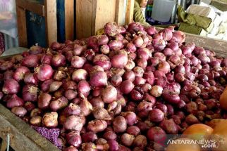 Berikut Daftar Harga Sayuran dan Bumbu Dapur di Jember Jelang Musim Hujan - JPNN.com Jatim