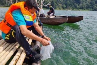 Ikan Hias dari Benua Afrika Rusak Ekosistem Danau Buyan dan Tamblingan Buleleng - JPNN.com Bali