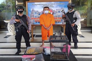 Celurit Selingkuhan Istri Hingga Tewas, Warga Sampang Madura di Bali Dituntut 16 Tahun Penjara - JPNN.com Bali