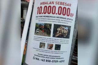 Viral Bule Rusia Bikin Sayembara Berhadiah Rp 10 Juta Buru Pembunuh Anjing Kesayangan - JPNN.com Bali