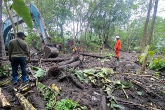 Lima Rumah Rusak Diterjang Banjir Ngada, BPBD NTT: 26 Warga Terkena Dampak - JPNN.com Bali