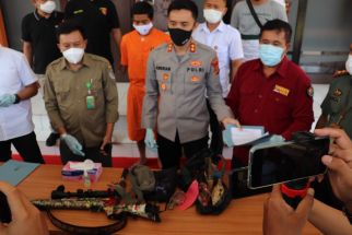 Pemburu Kijang  di TN Bali Barat Diciduk, Polisi Amankan 10 Kg Daging, Tanduk dan Senapan - JPNN.com Bali