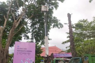 DLHK Denpasar Makin Agresif Pangkas Pohon Perindang di Tengah Kota - JPNN.com Bali