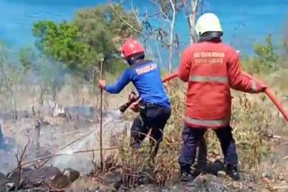 Damkar Karangasem: Lahan Kering Mudah Terbakar, Imbau Warga Tak Asal Bakar - JPNN.com Bali