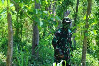 Prajurit TNI Sergap Musuh di Hutan Pulaki Bali, Lihat Aksinya - JPNN.com Bali