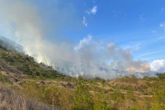 Viral Lereng Gunung Batur Kintamani Kepulkan Asap Putih, Ini Dugaan BPBD Bangli - JPNN.com Bali