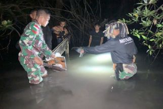 Satgas Pamtas RI –RDTL Gagalkan Penyelundupan Spare Part Mobil, Lihat Nih Aksi TNI di Perbatasan - JPNN.com Bali