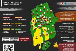 Mayoritas Desa dan Kelurahan di Denpasar Zona Hijau, Hampir Setengahnya Nol Kasus Covid-19 - JPNN.com Bali