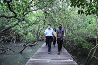 Indonesia Fokus Restorasi Mangrove Jelang KTT G20 di Bali, Luhut Sebut Pesan Presiden Jokowi - JPNN.com Bali