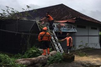 Lamtoro Tumbang Timpa Rumah Kadus Prayadnya, Hujan Angin Jadi Pemicu - JPNN.com Bali