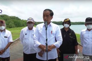 Jokowi Akan Ajak Pimpinan G20 Tinjau Konservasi Mangrove di Bali - JPNN.com Bali