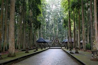 Mantan Gubernur Bali Dukung TWA Sangeh Jadi Hutan Adat - JPNN.com Bali