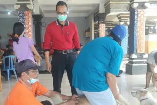 Kemenkes Kirim 30 Ribu Dosis VAR, Kasus Gigitan Anjing di Bali Catat Angka Fantastis - JPNN.com Bali