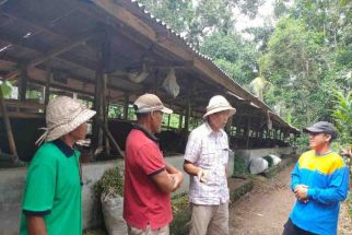 Pastika Semringah Simantri Eksis, Sebut Bali Bertahan Karena Pertanian  - JPNN.com Bali