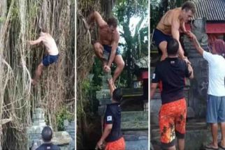 Imigrasi Garap Bule Australia Pemanjat Pohon Beringin, Fakta Baru Mengejutkan - JPNN.com Bali