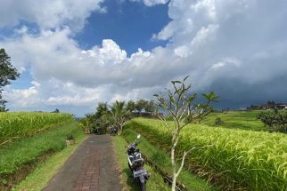 Cuaca Bali Senin (21/11): Dominan Berawan, Waspada Hujan Petir di Jembrana Dini Hari Nanti - JPNN.com Bali