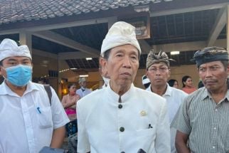 Turis Asing Bikin Ulah di Bali, Pastika: Jangan Debat di Jalan, Bisa Jadi Bulan-bulanan - JPNN.com Bali