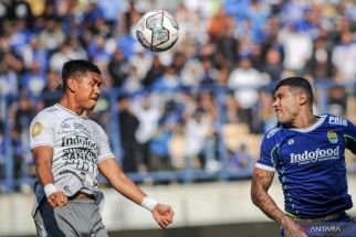 Serangan Balik Bali United Bikin Persib Tak Berdaya, Teco Bongkar Strategi Mematikan  - JPNN.com Bali