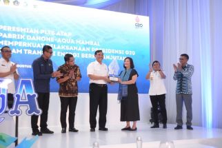 PLTS Atap Mambal Produksi Listrik 1.050 MWH, Luhut Pandjaitan Bereaksi - JPNN.com Bali