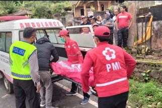 Update Laka Maut di Jalur Wisata Singaraja-Denpasar: 3 Tewas, Belasan Korban Masih Dirawat - JPNN.com Bali