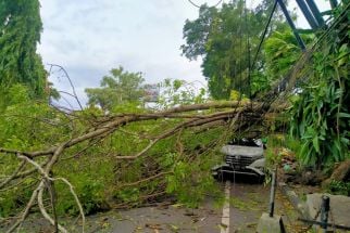 23.422 Pelanggan di Bali Terdampak Cuaca Ekstrem, Singaraja Terparah, PLN Bergerak - JPNN.com Bali