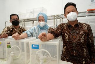 Mengenal Teknologi Wolbachia, Cara Dinkes Bali Menangani DBD, Canggih - JPNN.com Bali