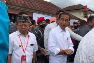 Jokowi Respons Cak Imin, Tanpa Gubernur Kontrol Bupati & Wali Kota Terlalu Jauh - JPNN.com Bali