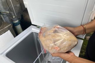 Duh, Akademisi Unwar Sebut Penjualan Daging Ayam di Bali Mengabaikan Kebersihan - JPNN.com Bali