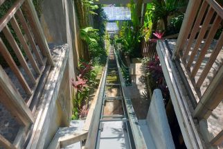 5 Temuan Pemicu Tragedi Ayu Terra Resort Ubud Versi Disnaker Bali, Mengejutkan - JPNN.com Bali