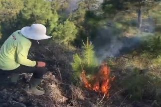 Lereng Gunung Batur Kintamani Terbakar, BPBD Bangli Bergerak - JPNN.com Bali