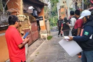 Rabies Masih Mengancam Bali, Distan Denpasar Mengimbau Pemilik Anjing, Simak - JPNN.com Bali