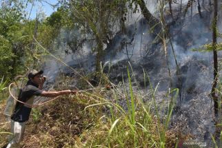 BBMKG Denpasar: Waspada Kebakaran Hutan di Bali - JPNN.com Bali