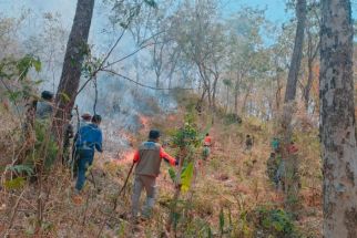 Kebakaran Hutan Masih Terjadi di Lereng Gunung Agung, BPBD Bali Imbau Waspada - JPNN.com Bali