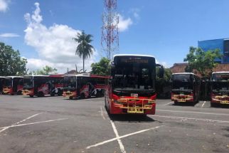 Dishub Bali Belum Berencana Menambah Koridor Bus Trans Metro Dewata, Ini Pilihannya - JPNN.com Bali