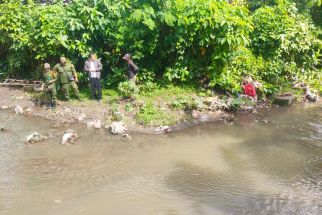 Kronologi Penemuan Mayat Bayi Perempuan Ditarik Biawak di Denpasar Versi Buruh Proyek - JPNN.com Bali