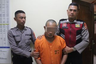 Sule Tertangkap Polisi Bandara Bali di Patung Kuda, Lihat Tuh - JPNN.com Bali