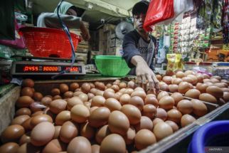 Harga Telur Ayam Ras di Bali Menggila, Cek! - JPNN.com Bali