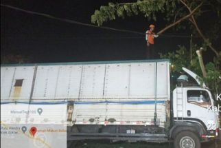 Pohon Trembesi Timpa Truk di Jembrana, Jalan Gilimanuk – Denpasar Macet - JPNN.com Bali