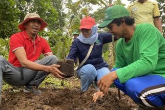 Bali Terancam Krisis Air Tanah Dampak Eksploitasi SDA Berlebihan, Duh - JPNN.com Bali