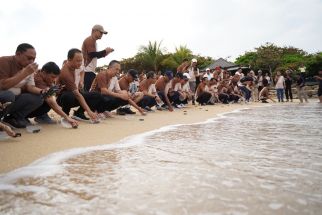 Jaga Ekosistem Perairan, Finnet Melepas 100 Tukik di Pantai Nusa Dua Bali - JPNN.com Bali