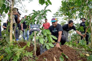 Amartha dan KTH Giri Amerta Tanam Pohon di Koridor Satwa Liar Hutan Bali Barat - JPNN.com Bali