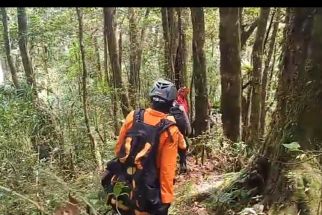 Pendaki ABG Asal Prancis Hilang di Gunung Batukaru Bali Belum Ditemukan, OMG! - JPNN.com Bali