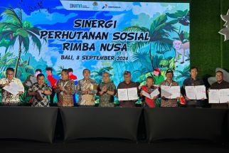 Pertamina Komitmen Mendukung Program Perhutanan Sosial, Teken 13 PKS Baru - JPNN.com Bali